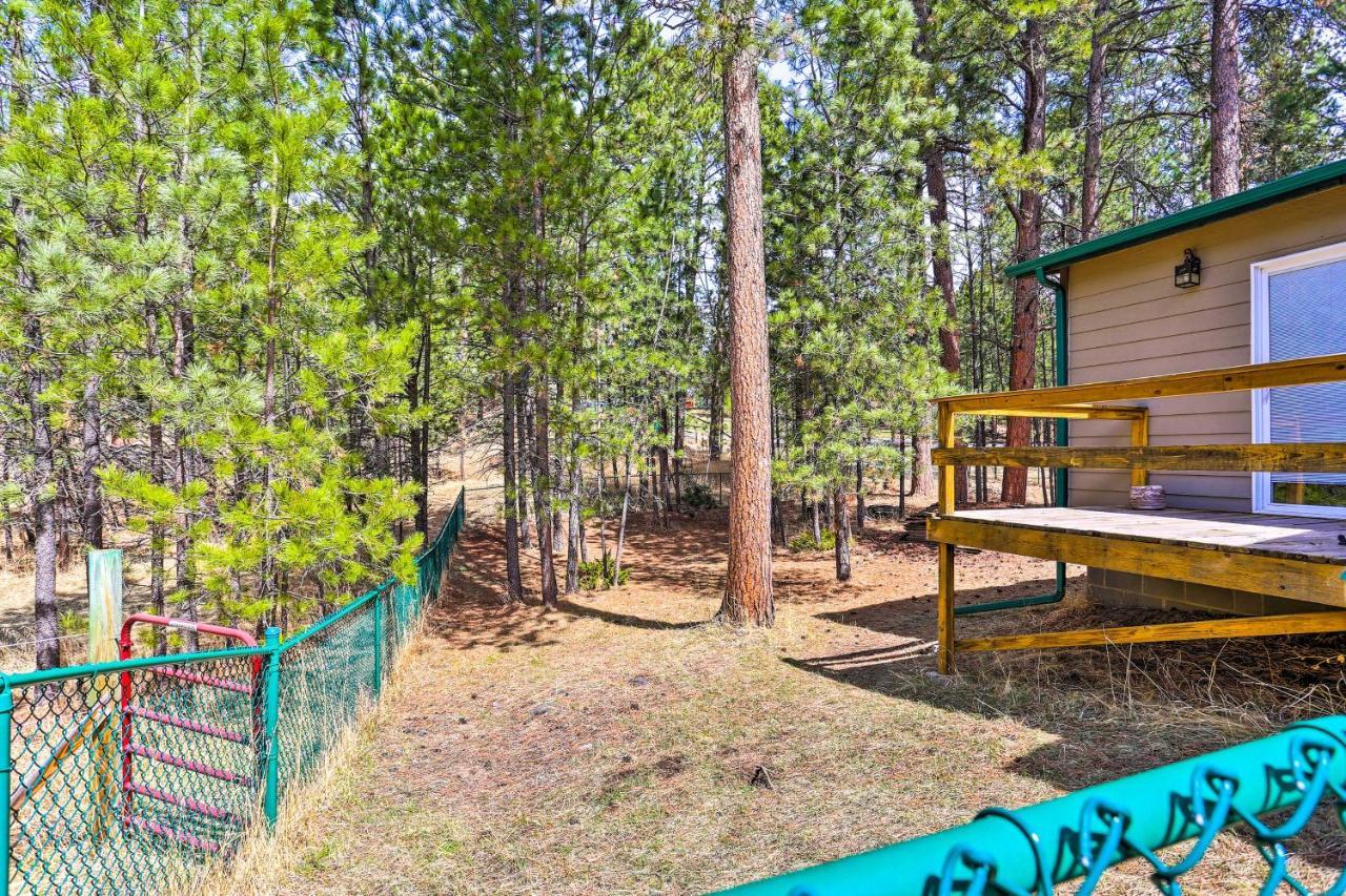 Private Black Hills Home With Corral Horses Welcome Custer Esterno foto