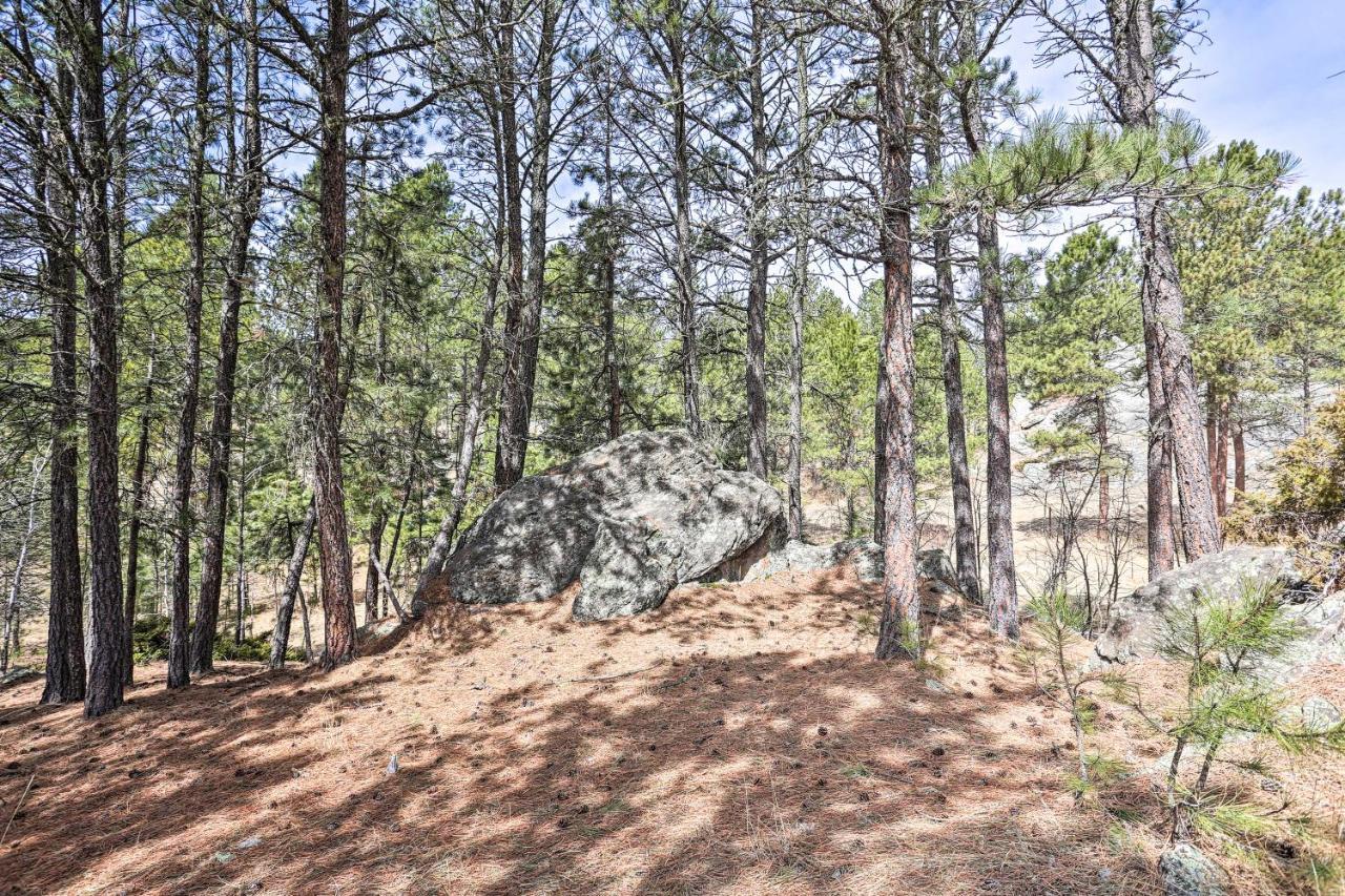Private Black Hills Home With Corral Horses Welcome Custer Esterno foto