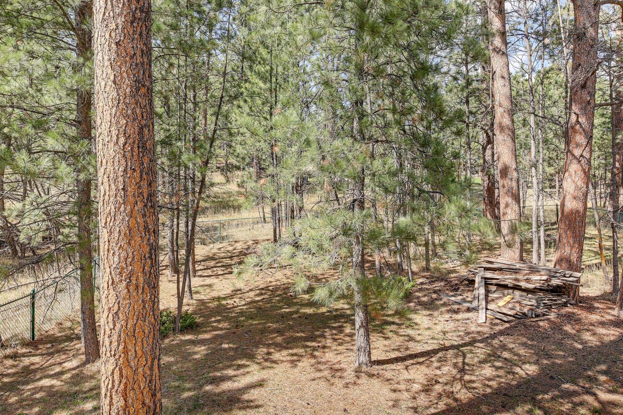 Private Black Hills Home With Corral Horses Welcome Custer Esterno foto